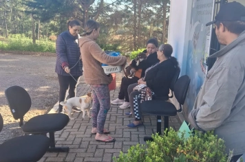 PROJETO CASTRAFÁCIL REALIZA 50 CASTRAÇÕES EM NOVA ETAPA EM SOLEDADE