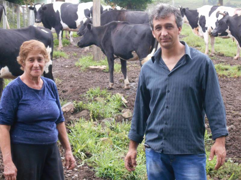 Secretaria da Agricultura realiza silagens pelo Interior