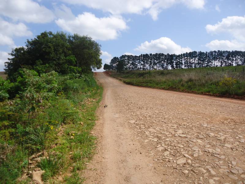 Estradas continuam sendo prioridade no Interior