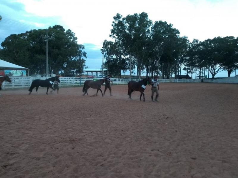 EVENTOS DO CAVALO CRIOULO ABRILHANTAM A EXPOSOL