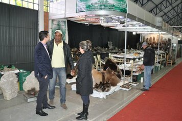 Prefeito Cattaneo vistoria melhorias realizadas no Parque Rui Ortiz para a Exposol 2016